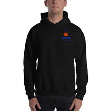 Load image into Gallery viewer, KS Owl Logo Clothing | Unisex Heavy Blend Hoodie